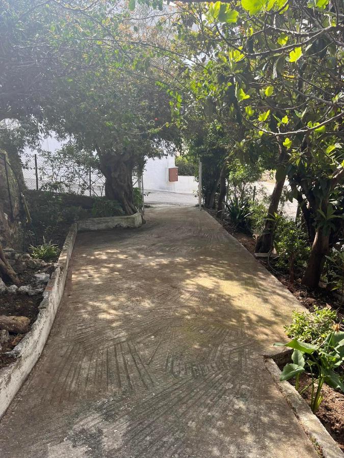 Appartement Aegean Summer House Poros Town